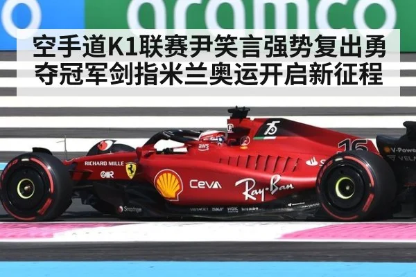 空手道K1联赛尹笑言强势复出勇夺冠军剑指米兰奥运开启新征程
