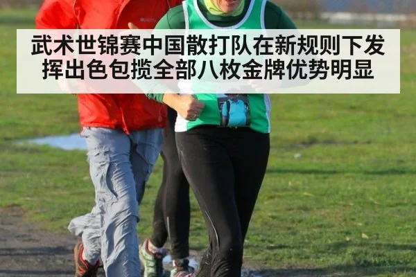 武术世锦赛中国散打队在新规则下发挥出色包揽全部八枚金牌优势明显